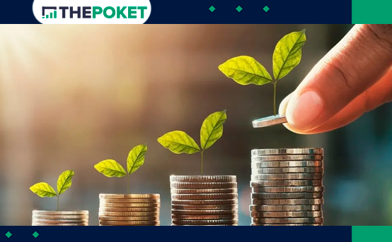 investimentos-para-iniciantes