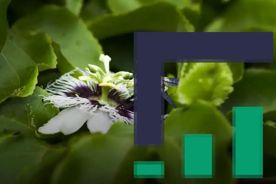 Il futuro delle istituzioni finanziarie: innovazione all'orizzonte