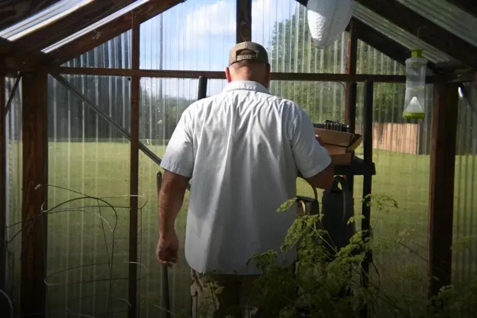 Dealing with Common Lawn Problems: Tackle Weeds and Pests