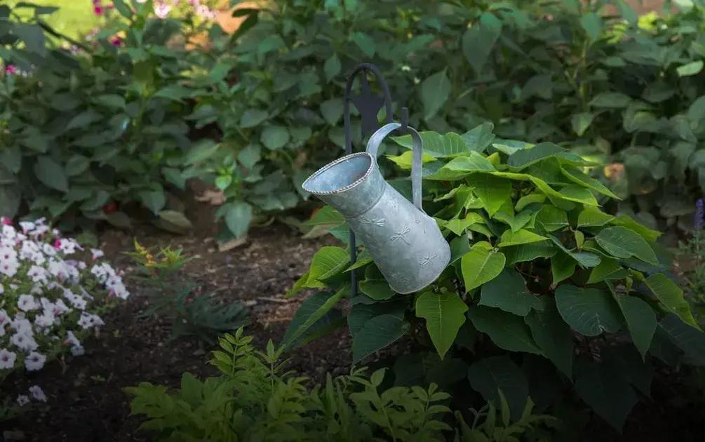 Pruning Trees and Shrubs: Unlock Secrets to Lush Gardens