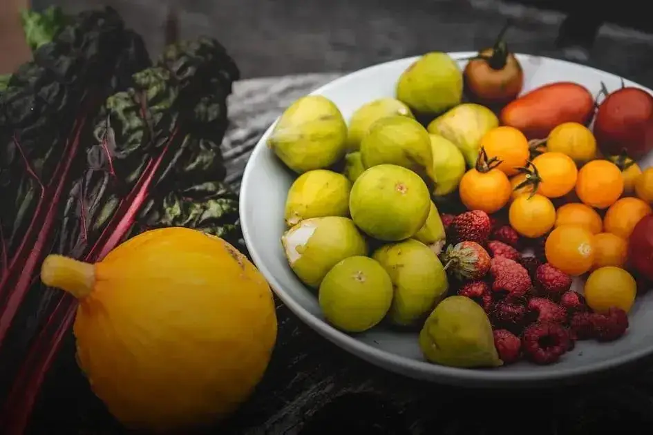 Water-Saving Gardening: Top Tips for a Drought-Resistant Yard